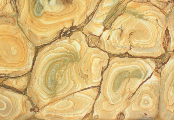 Кварцевый агломерат Stonewood Leather
